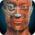 3D Anatomy Learning