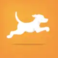 FetchRewards