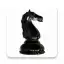 World Chess Championship